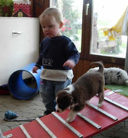 Zum Bild in Originalgre hier klicken...