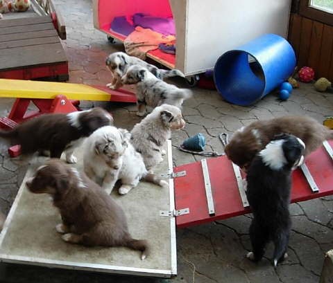 Zum Bild in Originalgr��e hier klicken...