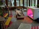 Agility * 480 x 360 * (27KB)