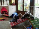 Training_2 * 480 x 360 * (29KB)