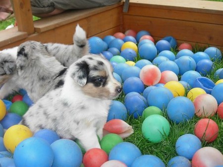 in der Ballkiste