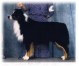 Black-Tri Farbe