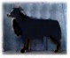 black Farbe