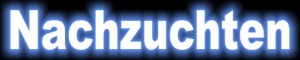 Nachzuchten