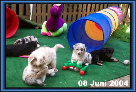 08 Juni 2004
