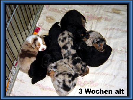 3 Wochen alt