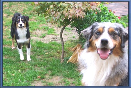 Cerry und P.J.